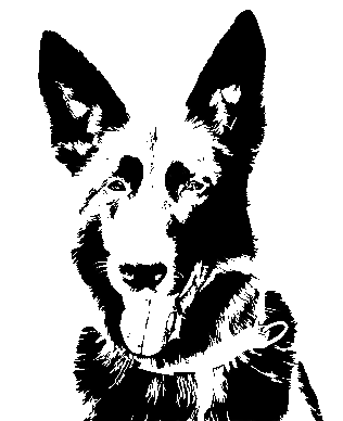 Hundeschule-Brigitte