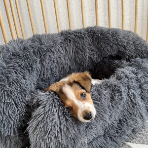 Banjas Körbchen